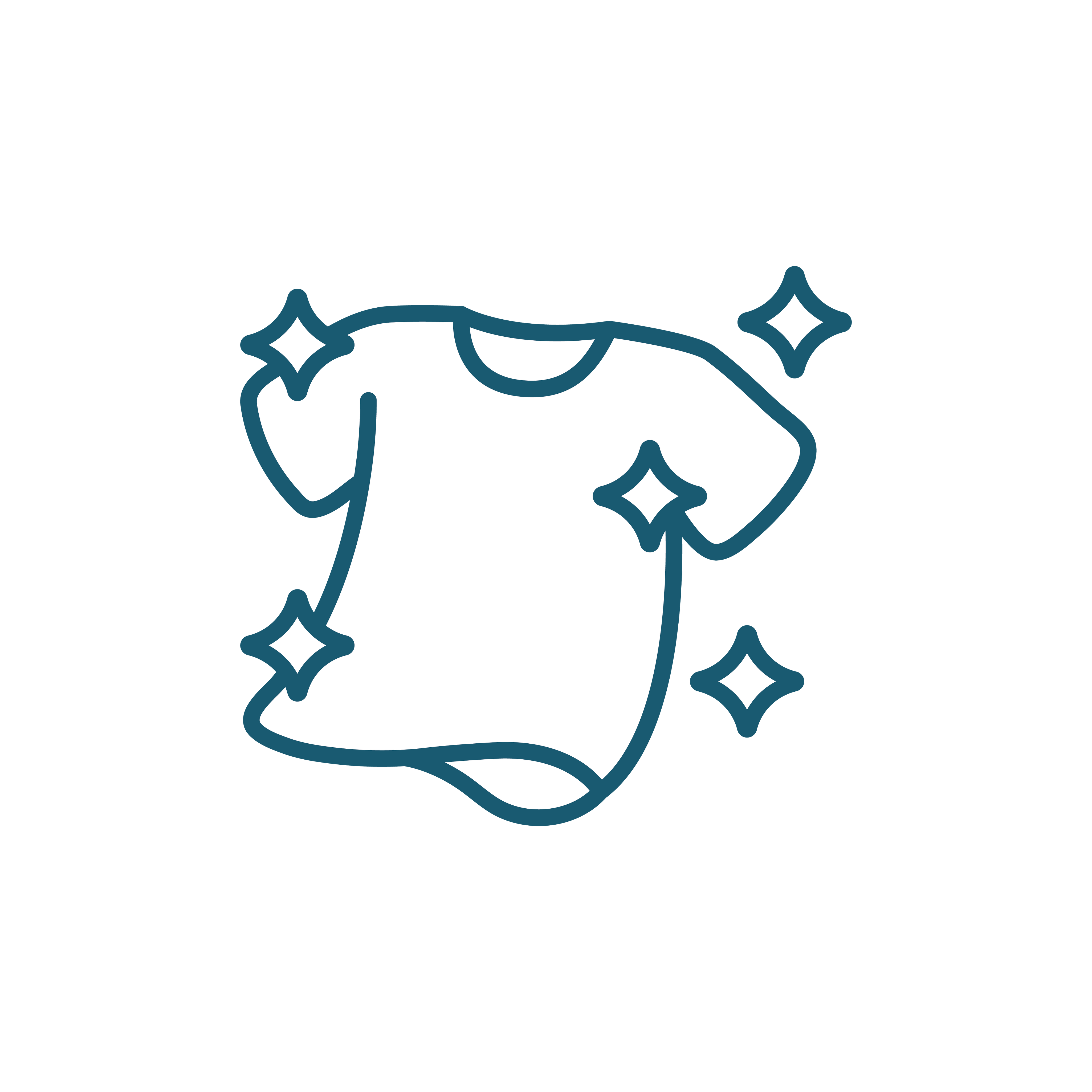 HY_2l_Disinfectant_ICON-01.png