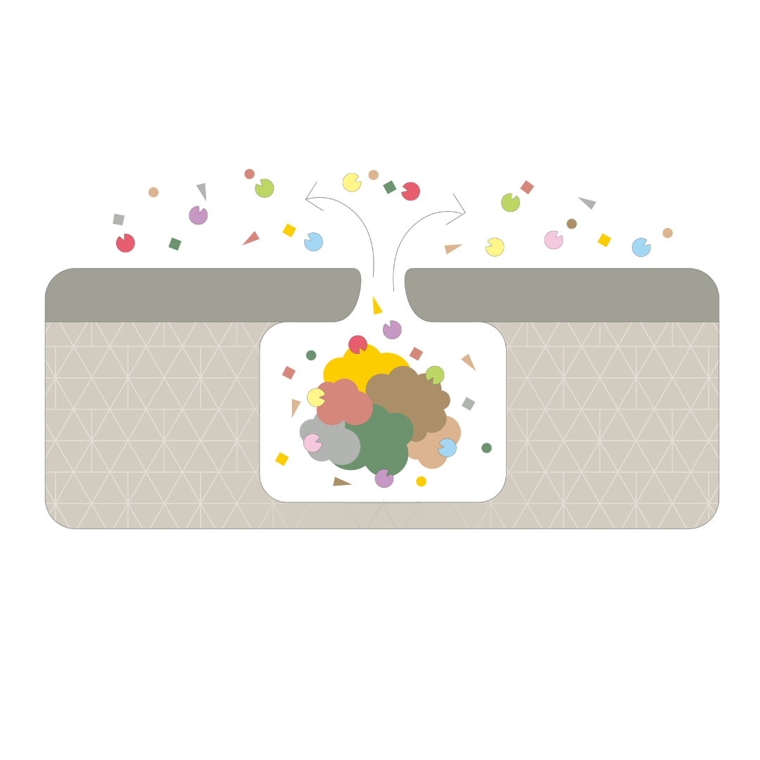 enzyme.png