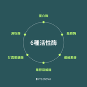 複合酶濃縮地板清潔劑：900mL - HYGINOVA