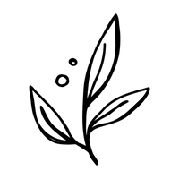 aboutus6.png