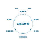 複合酶濃縮洗衣液