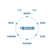 複合酶濃縮洗衣液