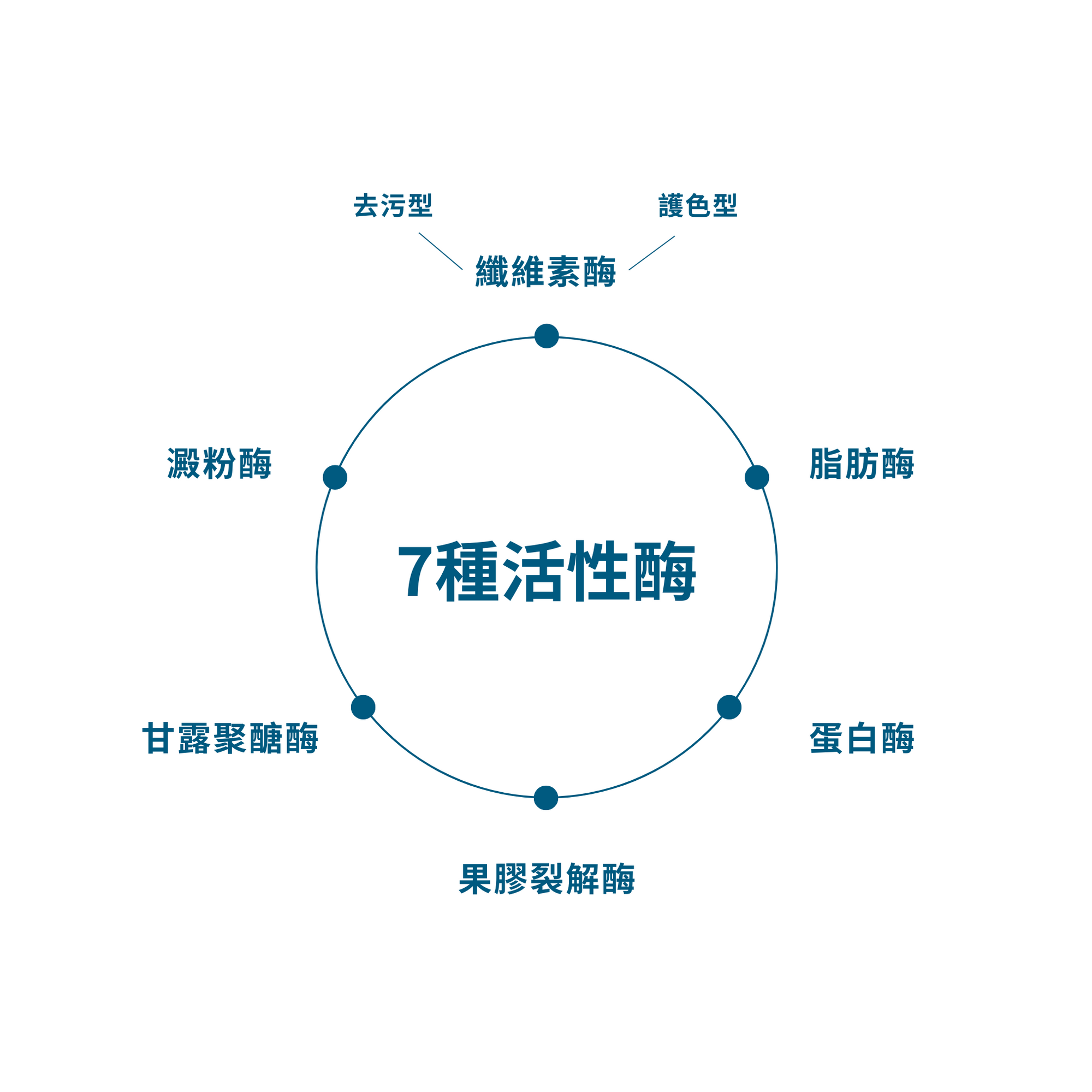 複合酶濃縮洗衣液