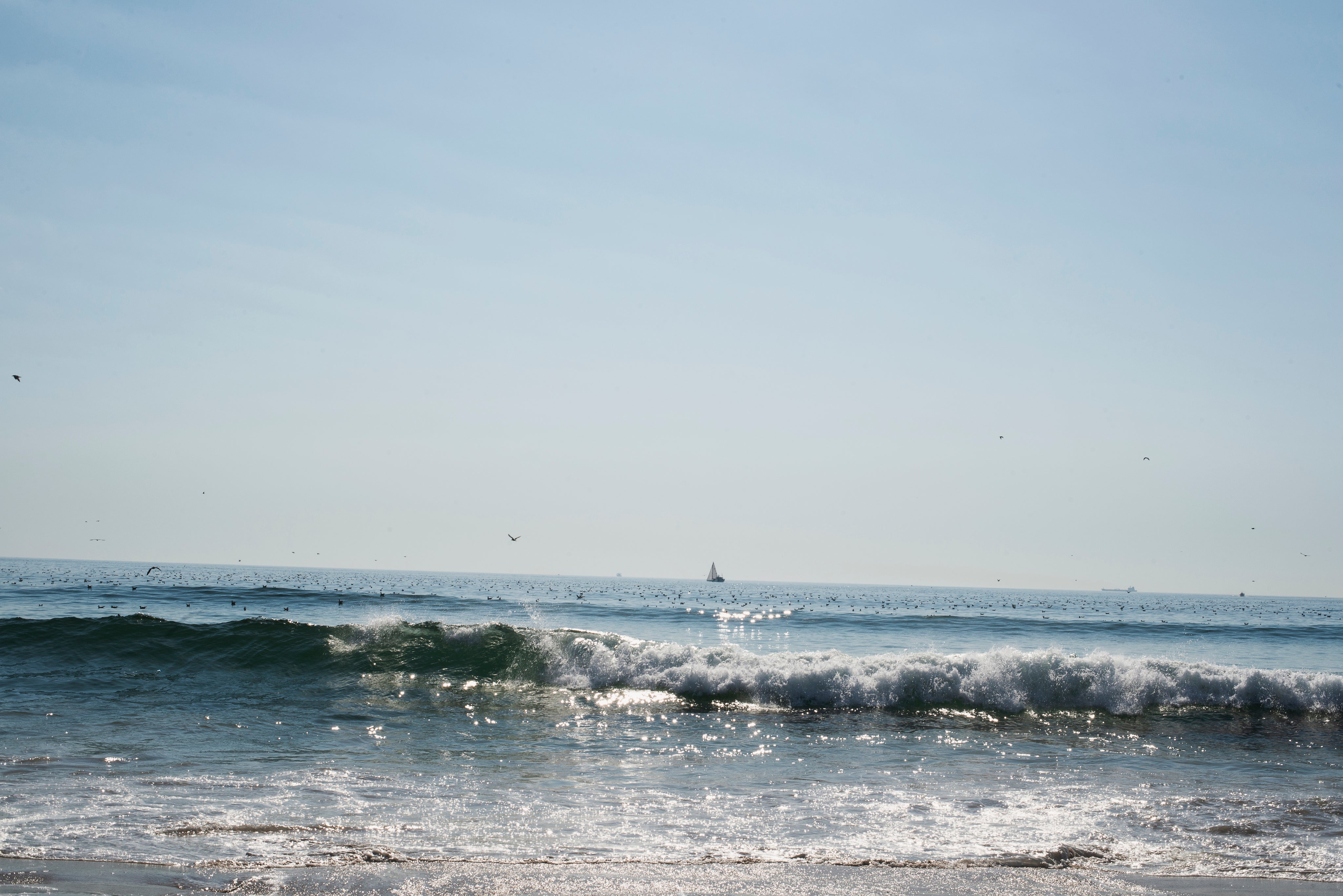 the-sea-crashing-into-shore-on-a-sunny-day.jpg